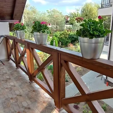 Casa Cu Nuferi *