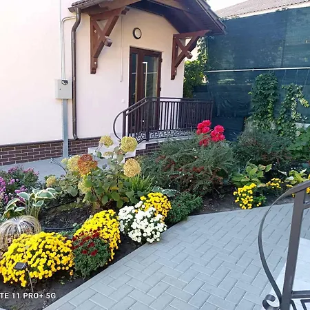 Casa Cu Nuferi